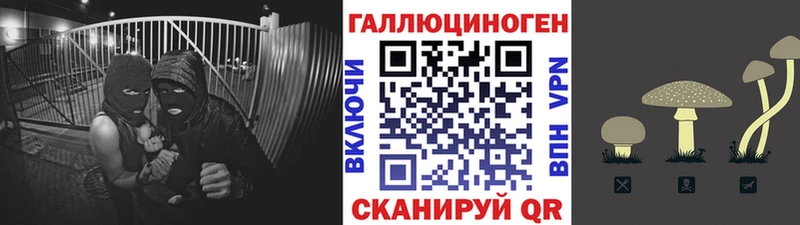 Псилоцибиновые грибы ЛСД  Купить где  Нововоронеж 
